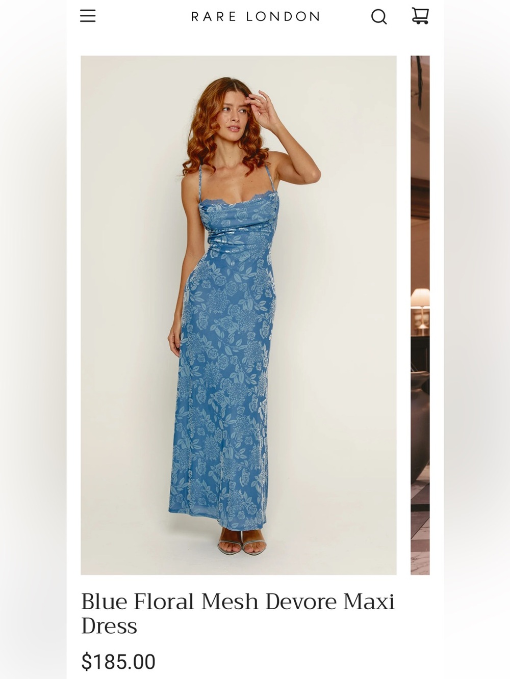 Rare London Blue Floral Mesh Devore Maxi Dress